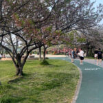 4月の公園