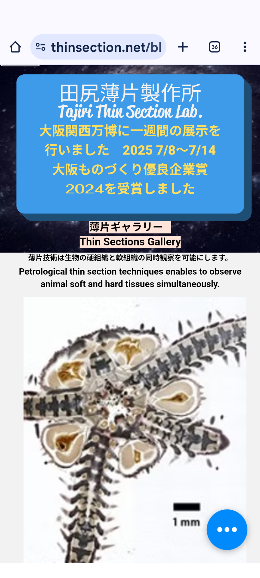 薄片　田尻薄片製作所