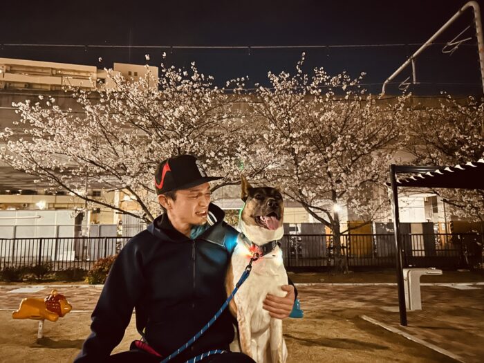 桜より主役はボクさ